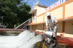 Phú Yên hỗ trợ gần 29 tỷ đồng khắc phục hạn hán vụ Hè Thu