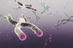 Italy: Phát hiện bạo hành và lạm dụng qua xét nghiệm ADN