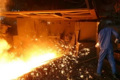 Ảnh minh họa. (Nguồn: TTXVN)