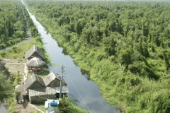 Chấn chỉnh việc quản lý, sử dụng đất rừng Vườn Quốc gia U Minh Hạ