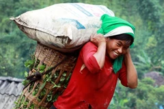 (Ảnh minh họa: Nguyễn Thủy/TTXVN)