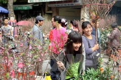 (Ảnh minh họa: TTXVN)