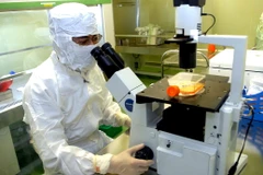 Năm 2014 - năm thành công của khoa học-công nghệ Việt Nam