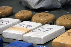 Argentina thu lượng ma túy, tiền giả lớn trước thềm Giáng sinh 