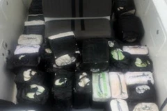 Colombia bắt giữ hơn 800kg cocaine đang vận chuyển tới Mỹ