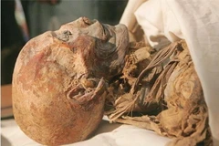 Ai Cập phát hiện một xác ướp cổ có niên đại 4.000 năm