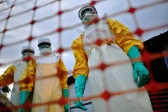Sierra Leone "đóng cửa" miền Bắc để kiềm chế lây virus Ebola