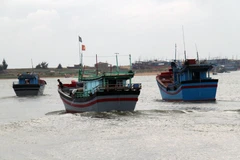 Bình Định sơ tán hơn 1.200 hộ dân vùng nguy hiểm ven biển 