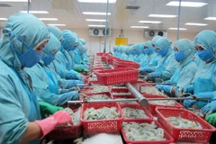 Cổ phần hóa công ty mẹ-Tổng công ty Thủy sản Việt Nam