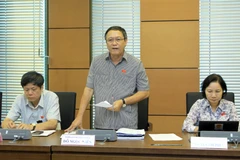 Đại biểu Quốc hội tỉnh Bình Thuận Đỗ Ngọc Niễn phát biểu ý kiến. (Ảnh: Phạm Kiên/TTXVN)