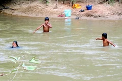 (Ảnh minh họa. Phạm Cường/TTXVN)