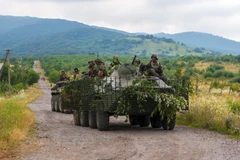 Ảnh minh họa. (Nguồn: THX/TTXVN)