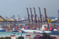 Ảnh minh họa. (Nguồn: therealsingapore.com)