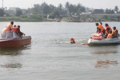 (Ảnh minh họa. Thanh Long/TTXVN)