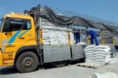 Tịch thu 5,5 tấn phân bón giả chuẩn bị bán ra thị trường 