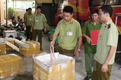 (Ảnh minh họa. Hải Yến/TTXVN)