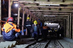 Ảnh minh họa. (Nguồn: THX/TTXVN)