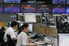 Ảnh minh họa. (Nguồn: THX/TTXVN)