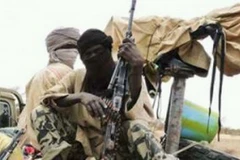 Quân đội Cameroon tiêu diệt 143 tay súng Boko Haram