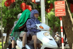 (Ảnh chỉ có tính minh họa. Phạm Kiên/TTXVN)