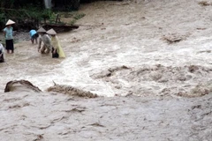 (Ảnh minh họa. Quốc Hùng/TTXVN)