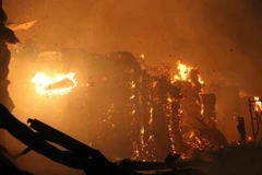 (Ảnh minh họa. Sỹ Tuyên/TTXVN)