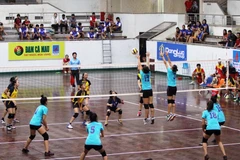 Sôi động ngày hội giao lưu văn hóa thể thao Việt-Hàn lần thứ 10