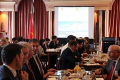 Quang cảnh hội thảo. (Ảnh: Đức Dũng/Vietnam+)