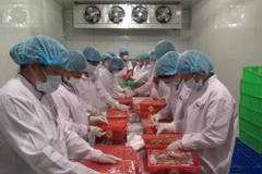 Đóng gói vải xuất sang thị trường Mỹ. (Ảnh: mạnh Minh/TTXVN)