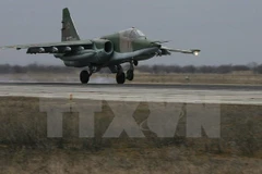 Máy bay Su-25 của không quân Nga. (Ảnh minh họa. Nguồn: AFP/TTXVN)
