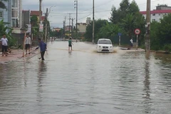 (Ảnh minh họa. Trọng Lịch/TTXVN)