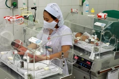 (Ảnh minh họa. Dương Ngọc/TTXVN)