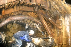 (Ảnh minh họa. Nguyễn Dũng/TTXVN)