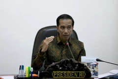Tổng thống Joko Widodo. (Nguồn: AFP/TTXVN)