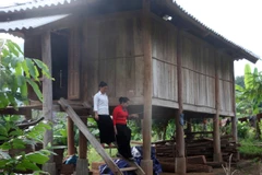 (Ảnh minh họa. Đình Huệ/TTXVN)