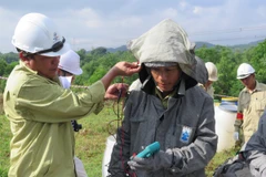 Ứng dụng công nghệ sửa chữa đường dây 500kV không cần cắt điện