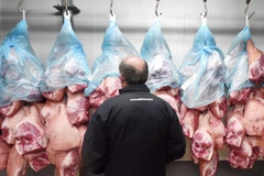 Ảnh minh họa. (Nguồn: AFP/TTXVN)