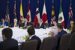 Chủ tịch nước Trương Tấn Sang (thứ hai, từ phải sang, phía xa) và lãnh đạo 11 quốc gia tham gia Hiệp định TPP tại phiên họp bên lề APEC. (Nguồn: AFP/TTXVN)