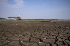 Đáy hồ Aleixo ở khu vực Manaus, Amazonas, Brazil nứt nẻ do hạn hán (Nguồn: AFP/TTXVN)