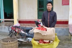 Đối tượng Lê Văn Chánh. (Ảnh: Nguyễn Hoàng/Vietnam+)