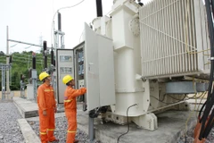 (Ảnh minh họa. Ngọc Hà/TTXVN)