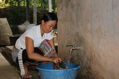 Người dân bản Nậm Tăm (Lai Châu) tại vùng tái định cư thủy điện Sơn La. (Ảnh: Nguyễn Duy/TTXVN)