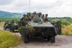 Lực lượng an ninh Ukraine gác tại tuyến đường dẫn đến làng Bobrovyshche, gần thị trấn Mukachevo ngày 13/7. (Nguồn: AFP/TTXVN)