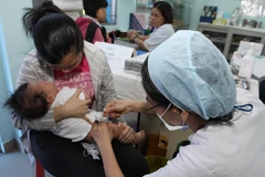 (Ảnh minh họa. Hồ Cầu/TTXVN)