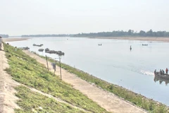 (Ảnh minh họa. Thanh Long/TTXVN)