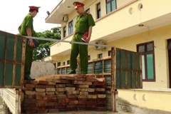 (Ảnh minh họa. Mạnh Thành/TTXVN)