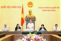 Chủ tịch Quốc hội Nguyễn Sinh Hùng phát biểu khai mạc Phiên họp thứ 40 của Ủy ban Thường vụ Quốc hội. (Ảnh: Nhan Sáng/TTXVN)