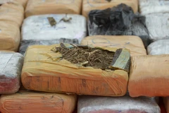 Ảnh minh họa. (Nguồn: AFP/TTXVN)