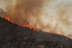 Khói lửa bốc lên từ đám cháy rừng tại Soledad Canyon, California, Mỹ, ngày 25/7. (Ảnh: AFP/TTXVN)