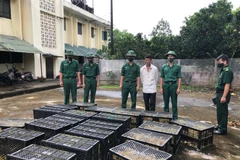 Đối tượng Sơn (áo trắng) bị bắt giữ khi đang vận chuyển trái phép 8.400 con vịt giống vào Việt Nam. (Ảnh: TTXVN phát)